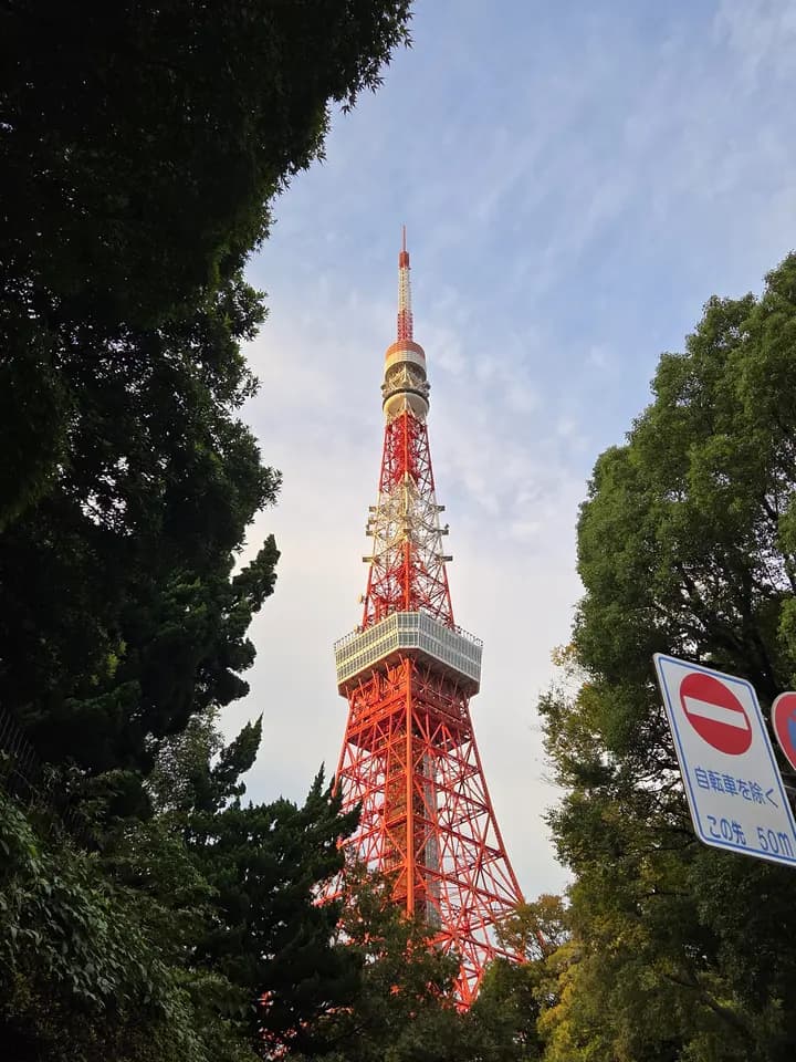 Tokyo Tower seen through the trees